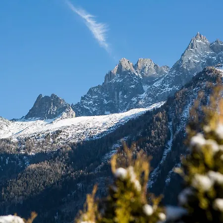 Chalet Alpins *